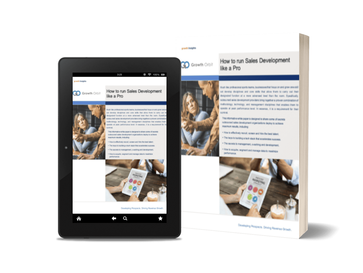 Sales-Like-a-Pro-Paper-thumb how to run sales like a pro